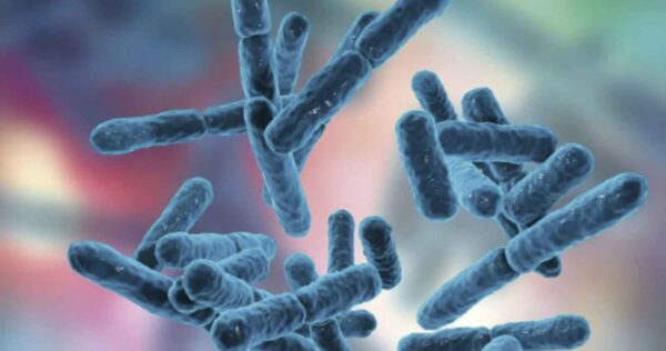 probioticos-1-1536x816